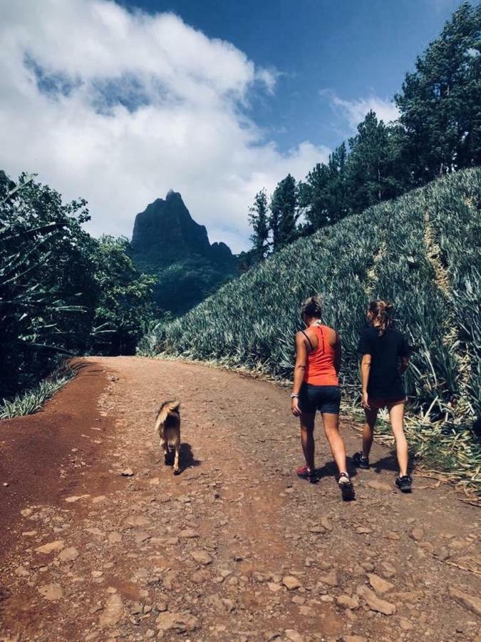 Fare Haurevaiti Moorea Paopao Zewnętrze zdjęcie